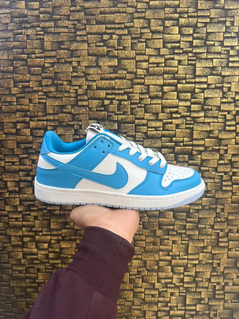 NIKE SB DUNK PRO